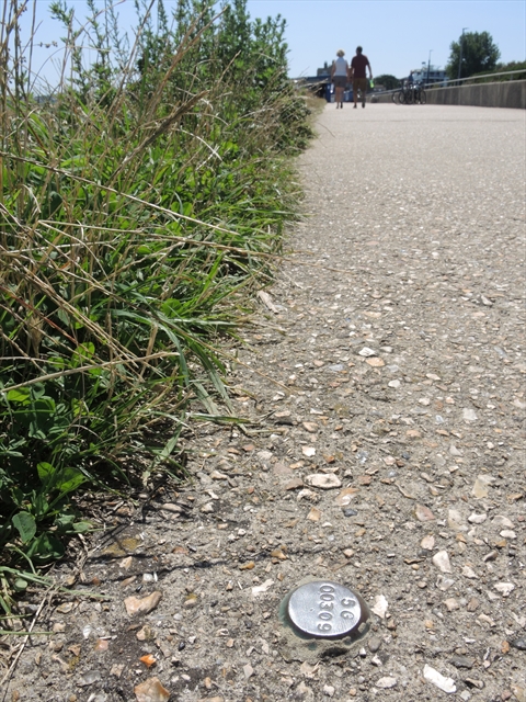 Environment Agency on Seafront pavement